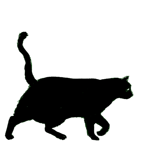 kittens are the best